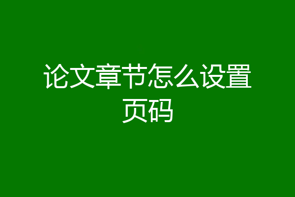 论文章节怎么设置页码