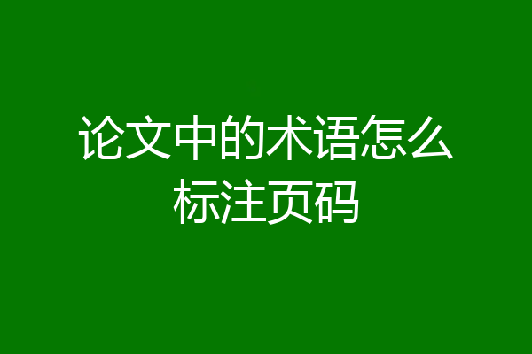 论文中的术语怎么标注页码