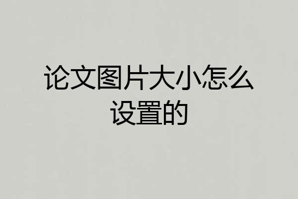 论文图片大小怎么设置的