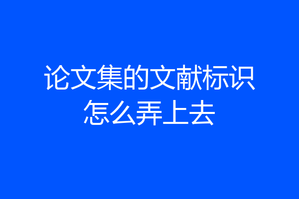 论文集的文献标识怎么弄上去