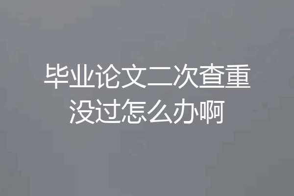 毕业论文二次查重没过怎么办啊