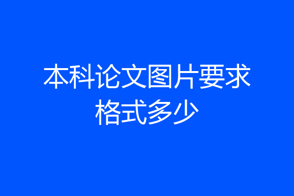 本科论文图片要求格式多少