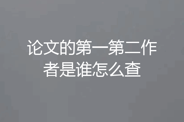 论文的第一第二作者是谁怎么查