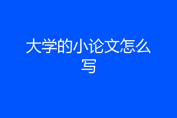 大学的小论文怎么写