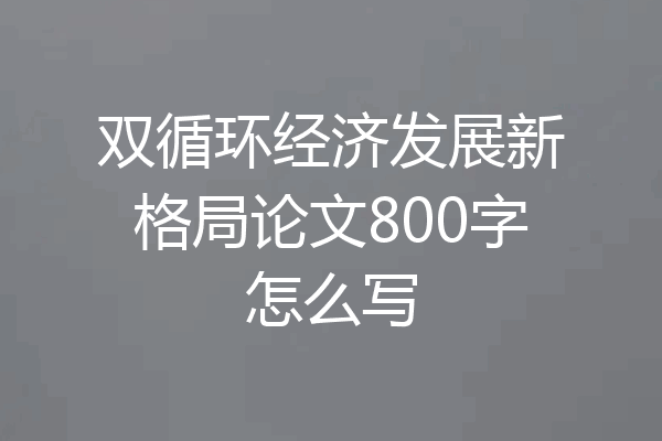 双循环经济发展新格局论文800字怎么写