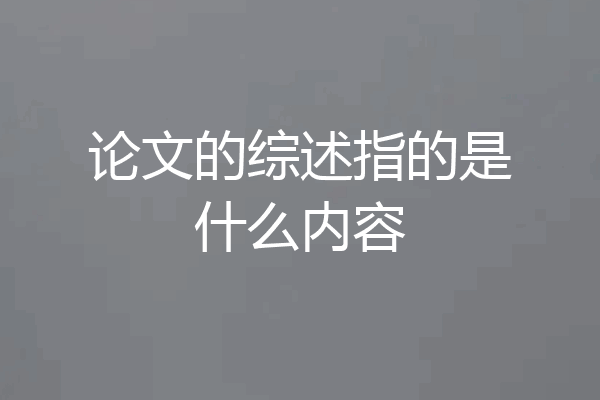 论文的综述指的是什么内容