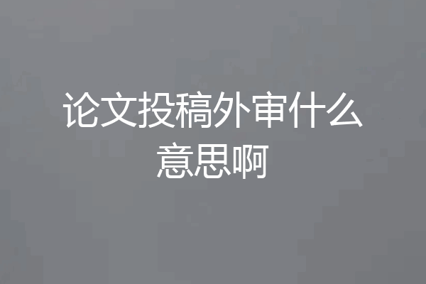 论文投稿外审什么意思啊