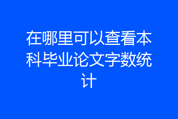 在哪里可以查看本科毕业论文字数统计