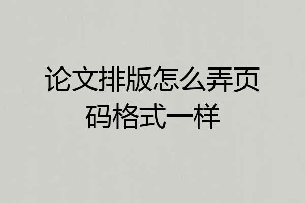 论文排版怎么弄页码格式一样