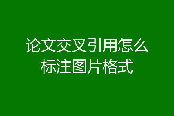 论文交叉引用怎么标注图片格式