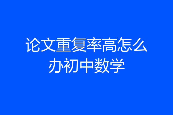 论文重复率高怎么办初中数学