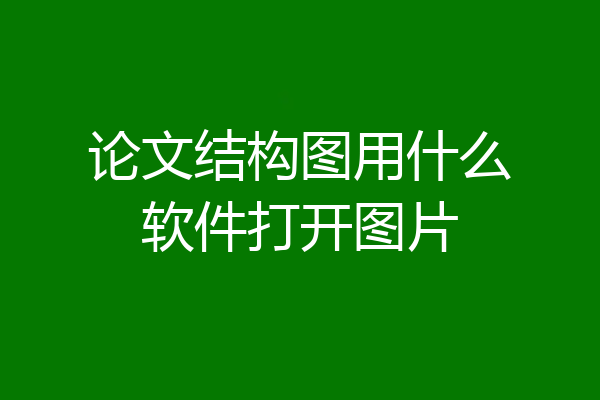 论文结构图用什么软件打开图片