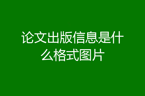 论文出版信息是什么格式图片