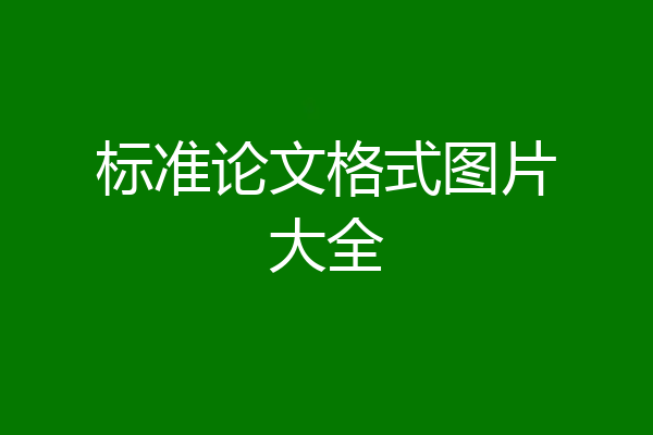 标准论文格式图片大全