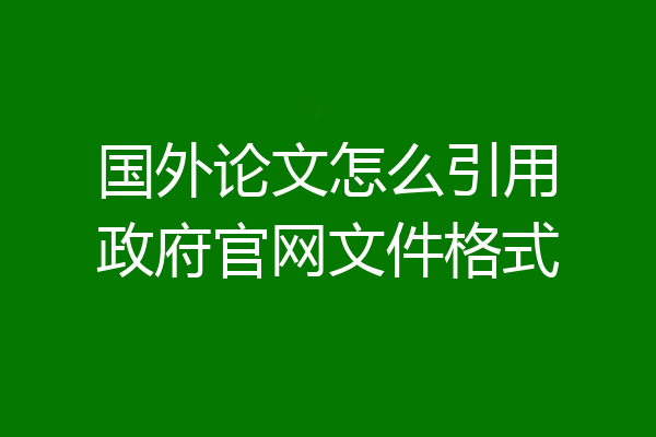 国外论文怎么引用政府官网文件格式
