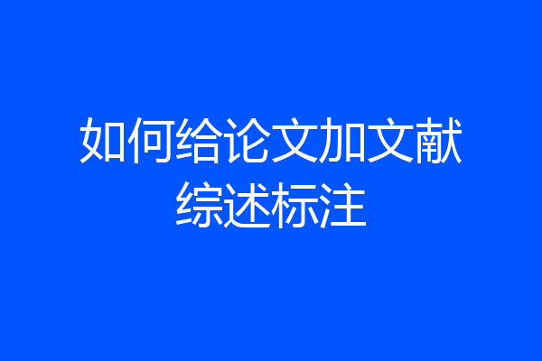 如何给论文加文献综述标注