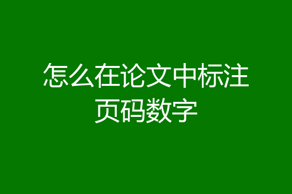 怎么在论文中标注页码数字