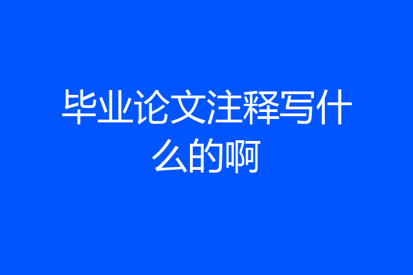 毕业论文注释写什么的啊