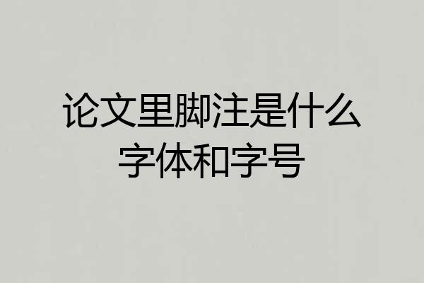 论文里脚注是什么字体和字号