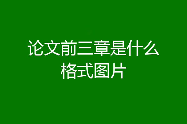 论文前三章是什么格式图片