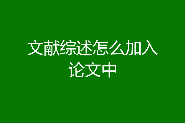 文献综述怎么加入论文中