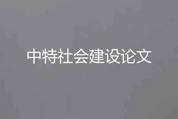 中特社会建设论文
