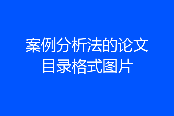 案例分析法的论文目录格式图片