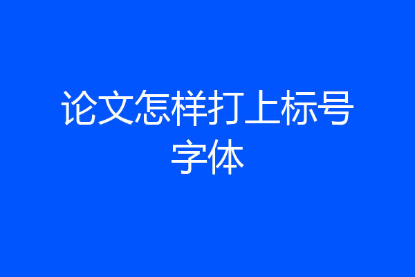 论文怎样打上标号字体