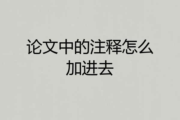 论文中的注释怎么加进去