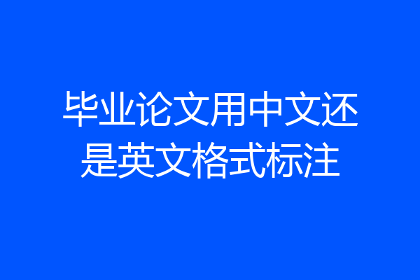 毕业论文用中文还是英文格式标注