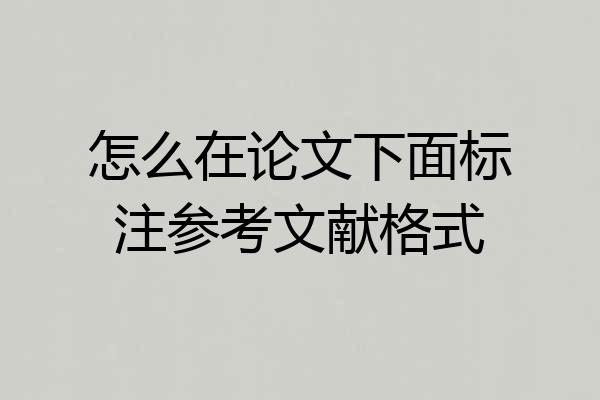 怎么在论文下面标注参考文献格式