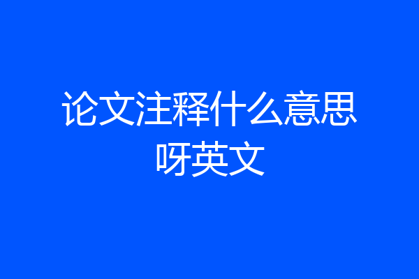 论文注释什么意思呀英文