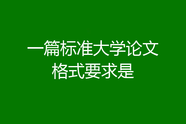 一篇标准大学论文格式要求是