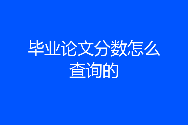毕业论文分数怎么查询的