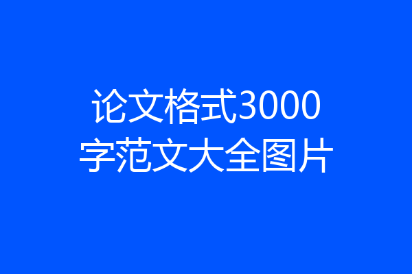 论文格式3000字范文大全图片