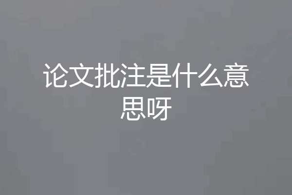 论文批注是什么意思呀