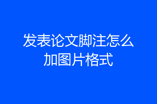 发表论文脚注怎么加图片格式