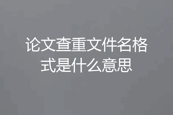 论文查重文件名格式是什么意思