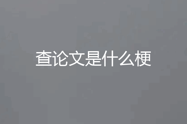 查论文是什么梗
