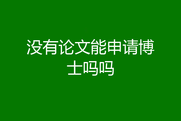 没有论文能申请博士吗吗
