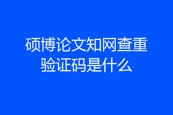 硕博论文知网查重验证码是什么