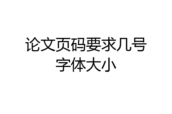 论文页码要求几号字体大小