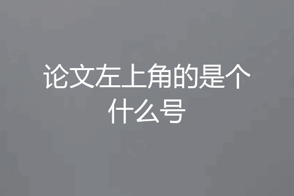 论文左上角的是个什么号