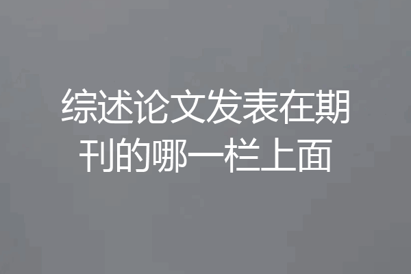 综述论文发表在期刊的哪一栏上面