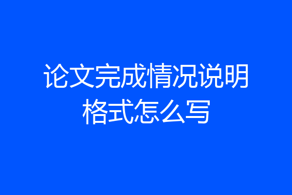 论文完成情况说明格式怎么写