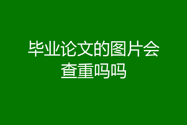 毕业论文的图片会查重吗吗