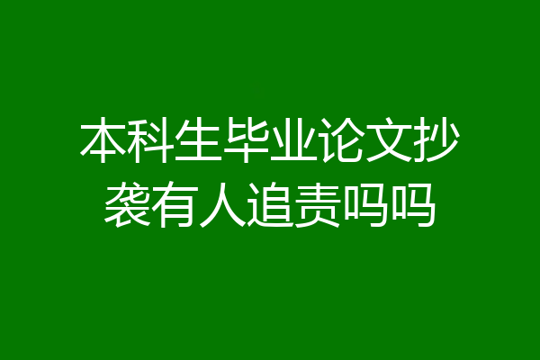 本科生毕业论文抄袭有人追责吗吗