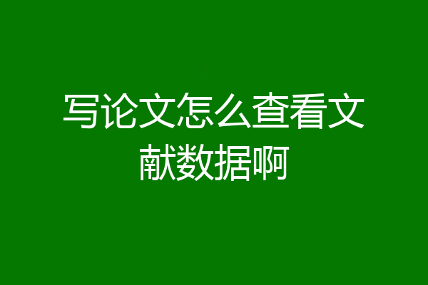 写论文怎么查看文献数据啊