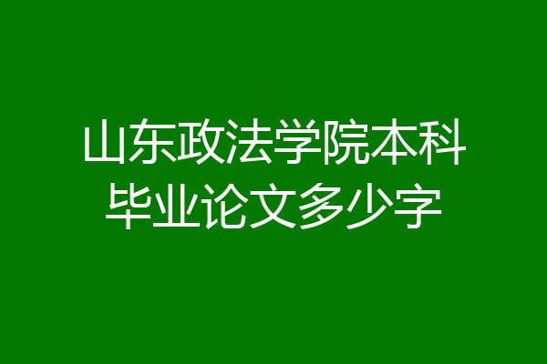 山东政法学院本科毕业论文多少字