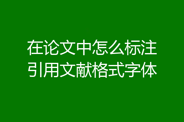 在论文中怎么标注引用文献格式字体